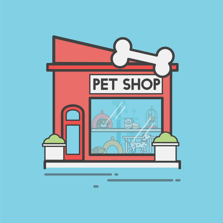 6 estratégias de marketing para pet shop